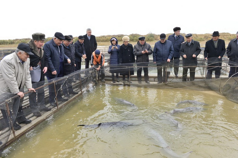 Погода в шардаре. Шардара. Шардара Казахстан. Село Шардара. Шардара город.