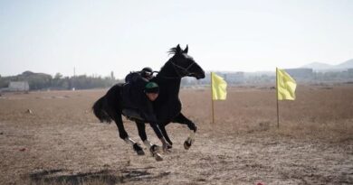 Өркениет дегеніміз – мәдениетті қоғам қалыптастыру