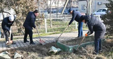 ЖЕТІСАЙДА ТАЗАЛЫҚ ЖҰМЫСТАРЫ ЖҮРГІЗІЛІП, КӨШЕТ ЕГІЛДІ